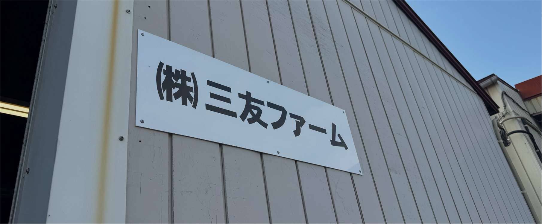 心を込めた『本気の野菜』三友ファーム