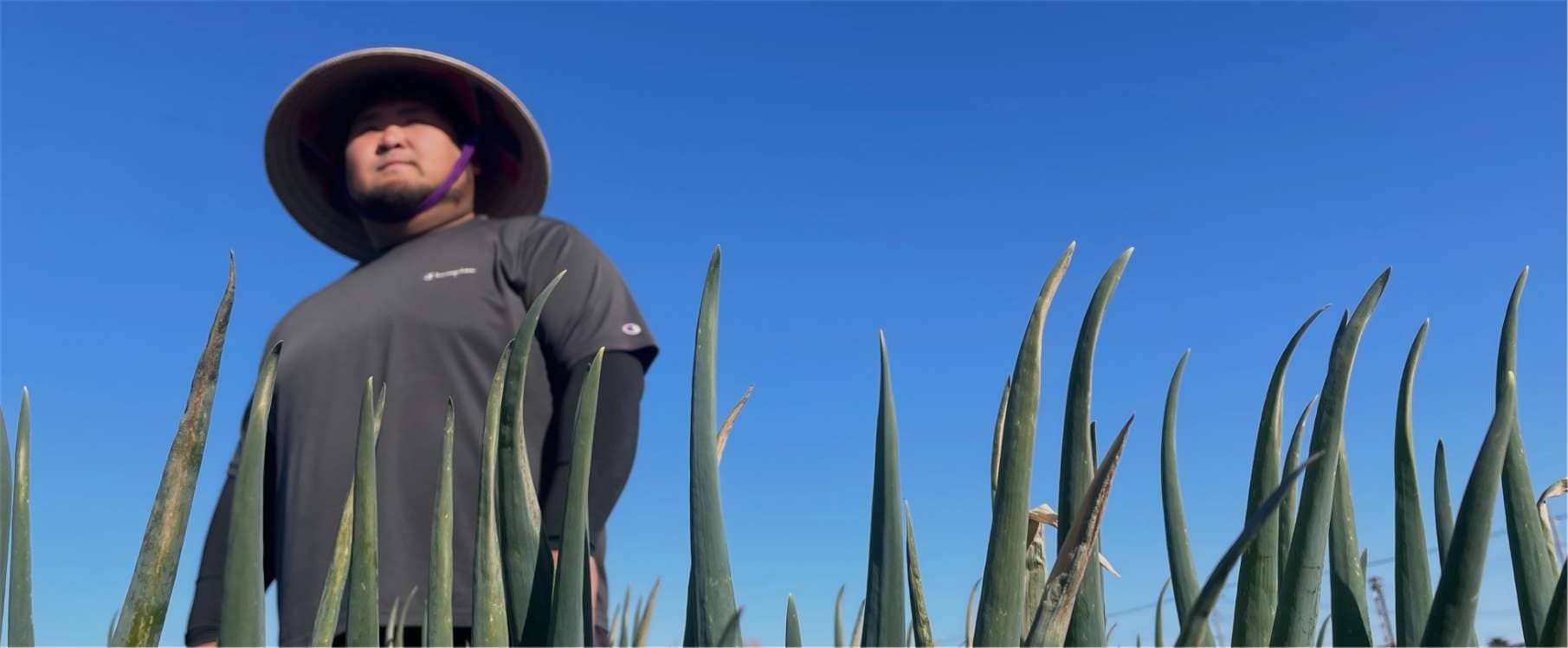 心を込めた『本気の野菜』三友ファーム