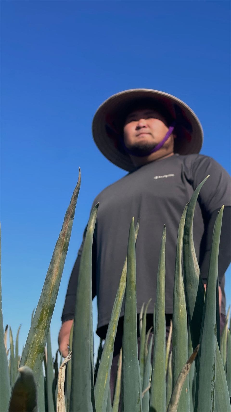 心を込めた『本気の野菜』三友ファーム